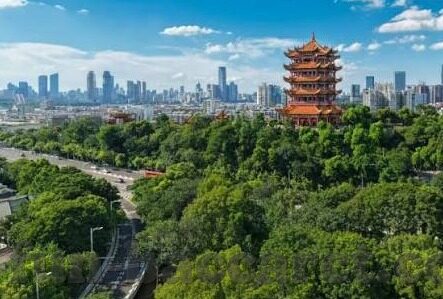 2018俄罗斯世界杯分-2018年俄罗斯世界杯分组，足球盛宴的预热与期待